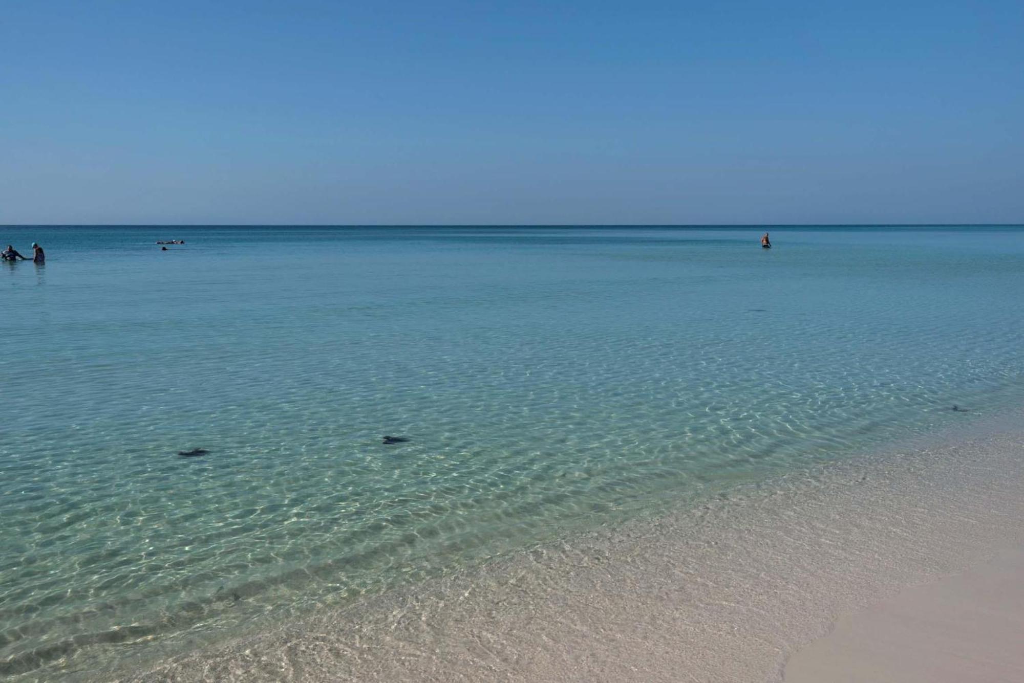 Aparthotel Majestic Sun 1014B- Shades Of Blue Miramar Beach Exteriér fotografie